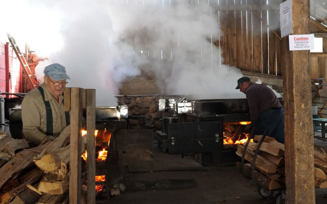 Maple Syrup Production Focus of New TAUNY Video